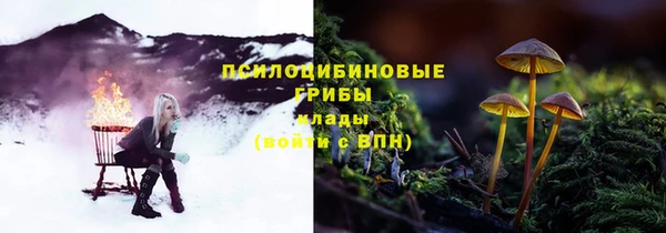 спиды Аркадак