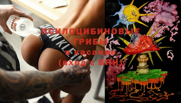 спиды Аркадак
